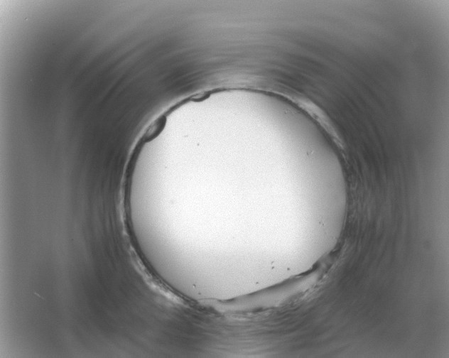 X0000066020904200603312046