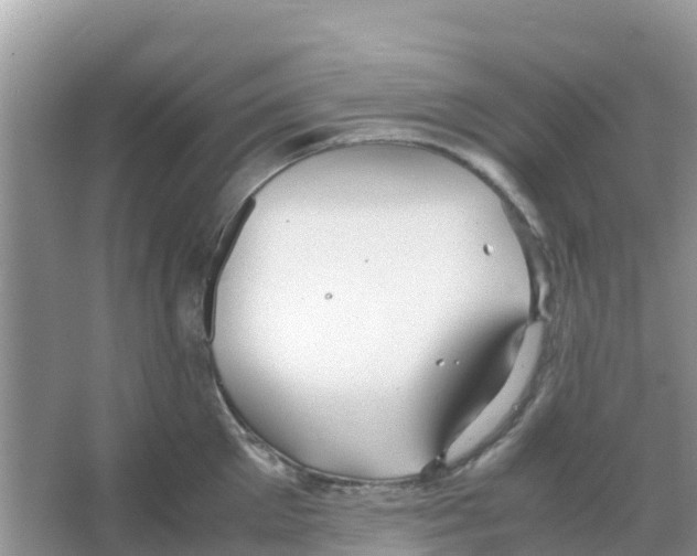 X0000066020905200603312046