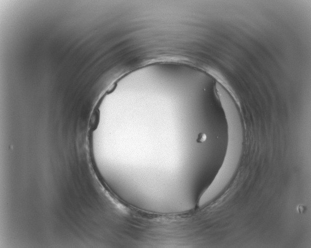 X0000066020906200603312046