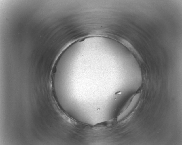 X0000066020908200603312046