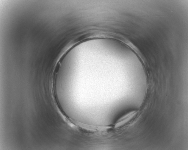 X0000066020909200603312046