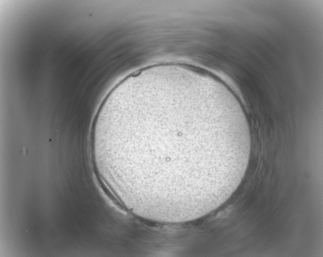 X0000066020911200603312046