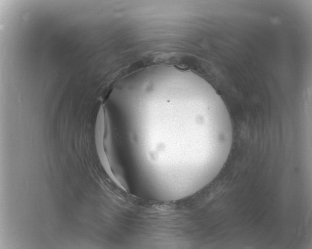 X0000066020914200603312045