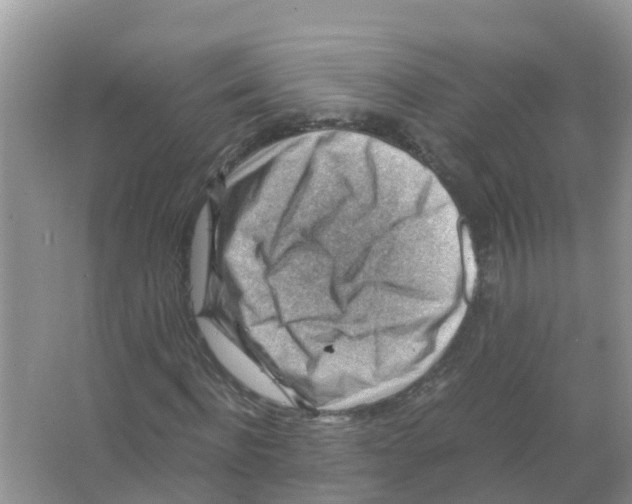 X0000066020916200603312045