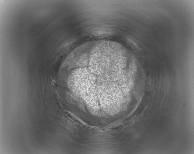 X0000066020917200603312045