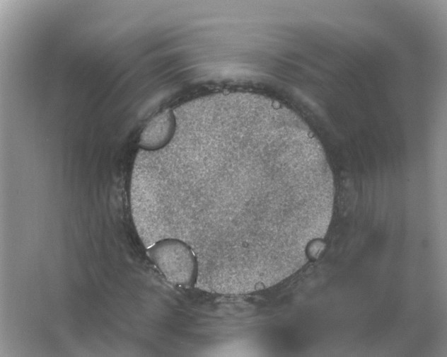 X0000066020918200603312045