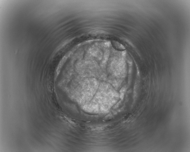 X0000066020919200603312045