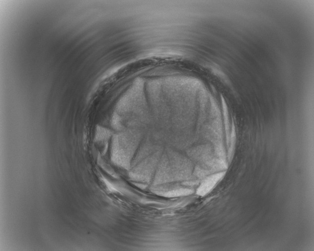 X0000066020920200603312045