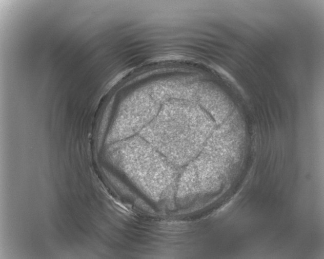 X0000066020921200603312045