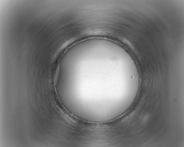 X0000066020922200603312045