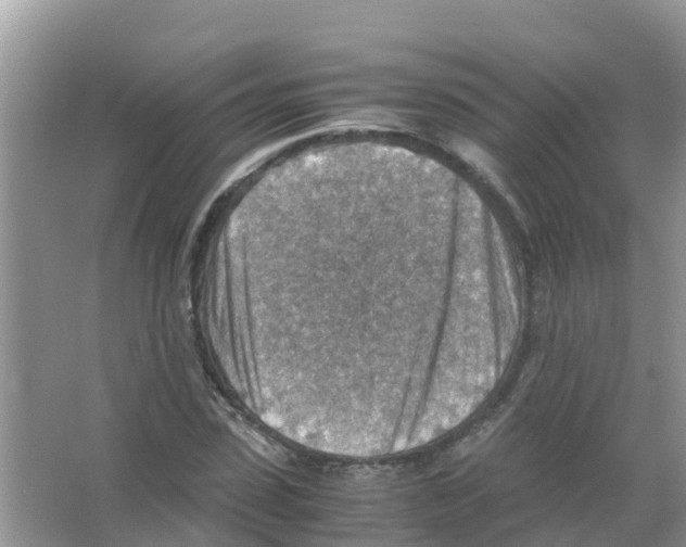 X0000066020923200603312045