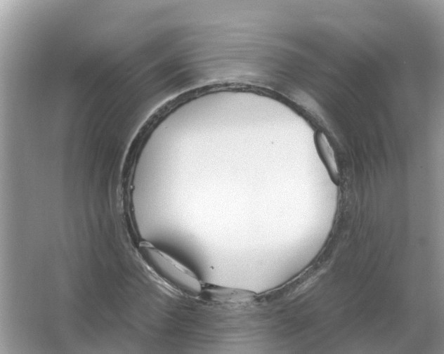 X0000066020924200603312045