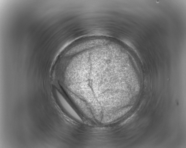 X0000066020925200603312045