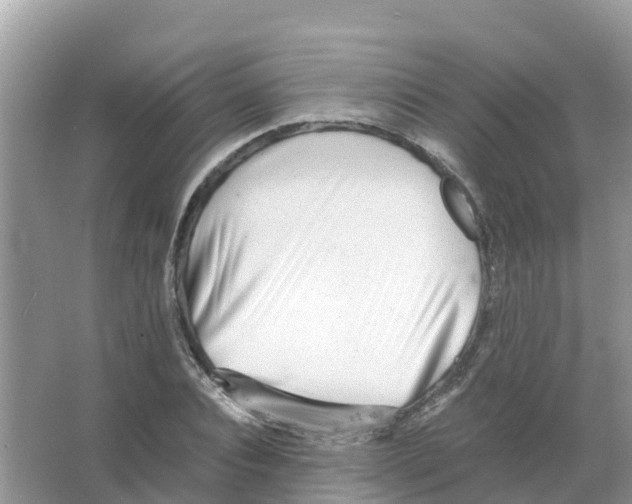 X0000066020928200603312045