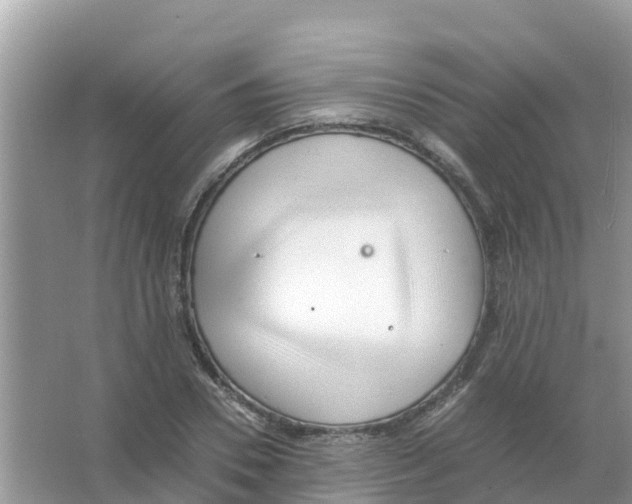 X0000066020930200603312045