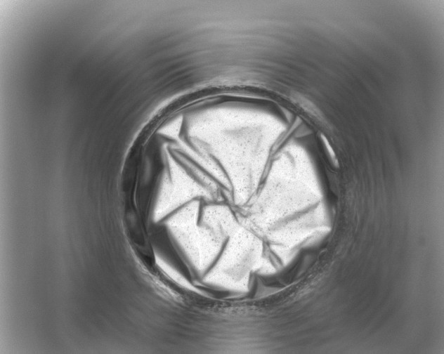 X0000066020934200603312045