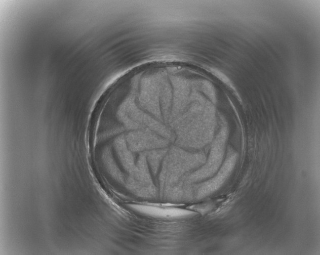 X0000066020935200603312045