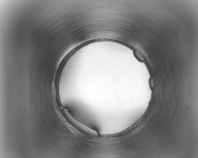 X0000066020936200603312045