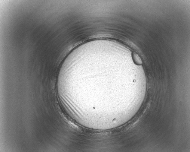 X0000066020937200603312045