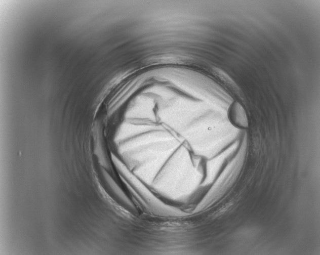 X0000066020938200603312045