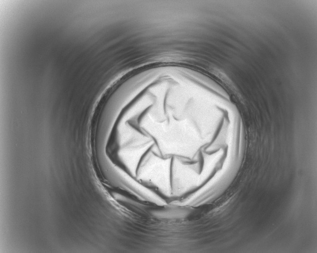 X0000066020939200603312045