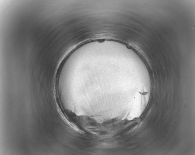 X0000066020941200603312045