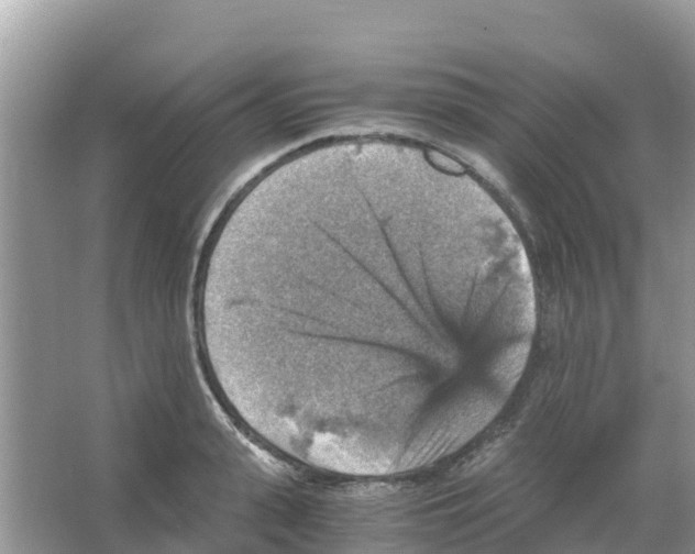 X0000066020943200603312045