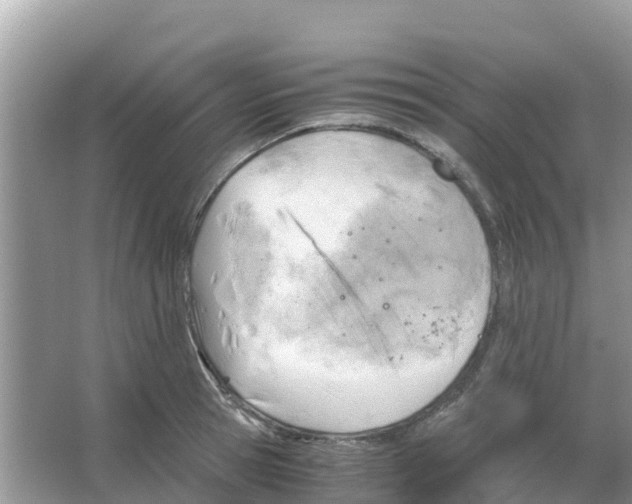 X0000066020945200603312045