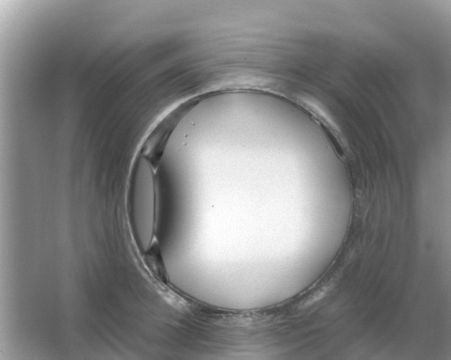 X0000066020948200603312045