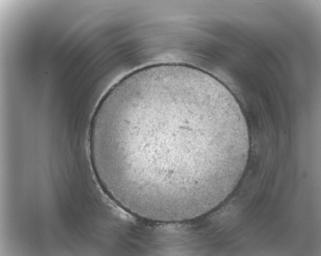 X0000066020950200603312045