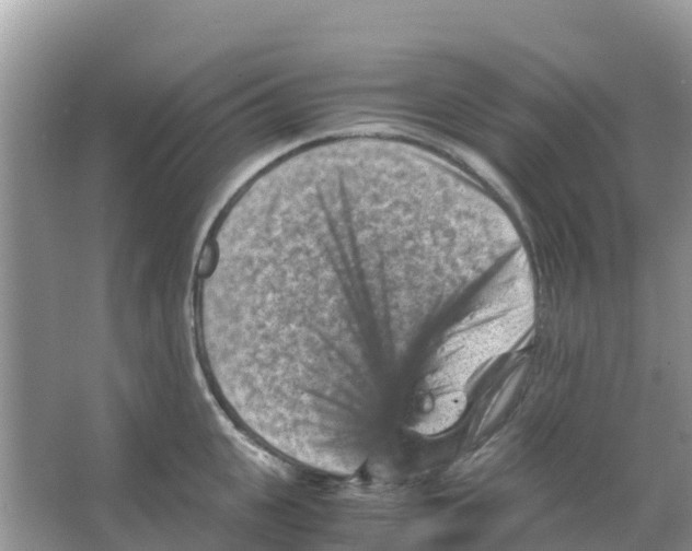 X0000066020951200603312045