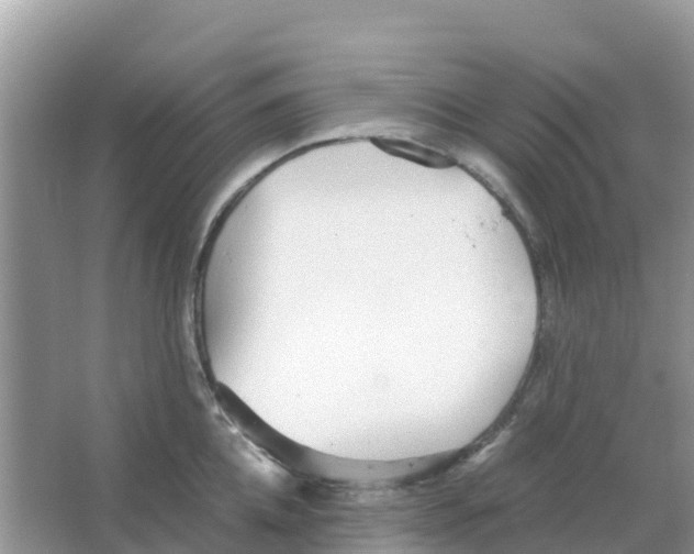 X0000066020952200603312045