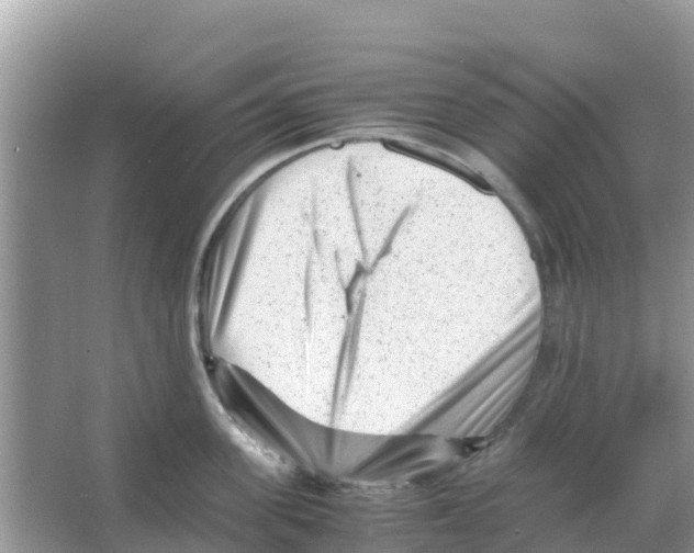 X0000066020955200603312045