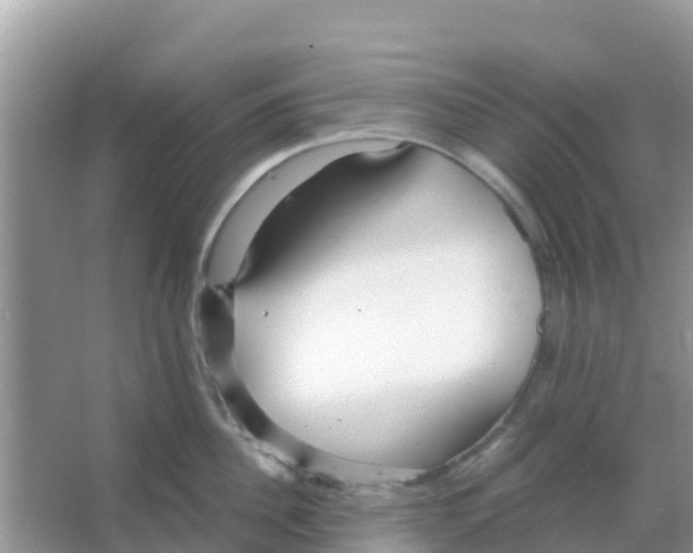 X0000066020956200603312045