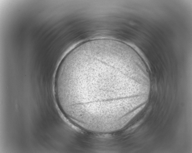 X0000066020957200603312045