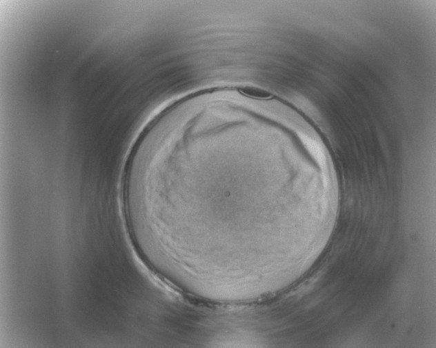 X0000066020958200603312045