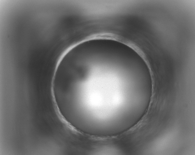 X0000066020960200603312045