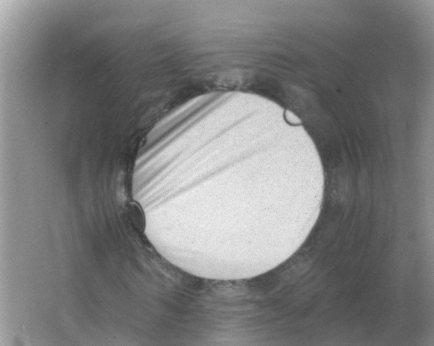 X0000066020962200603312045