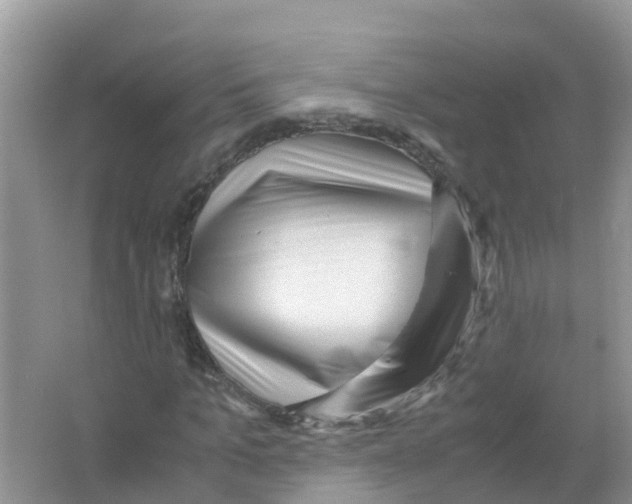 X0000066020965200603312045