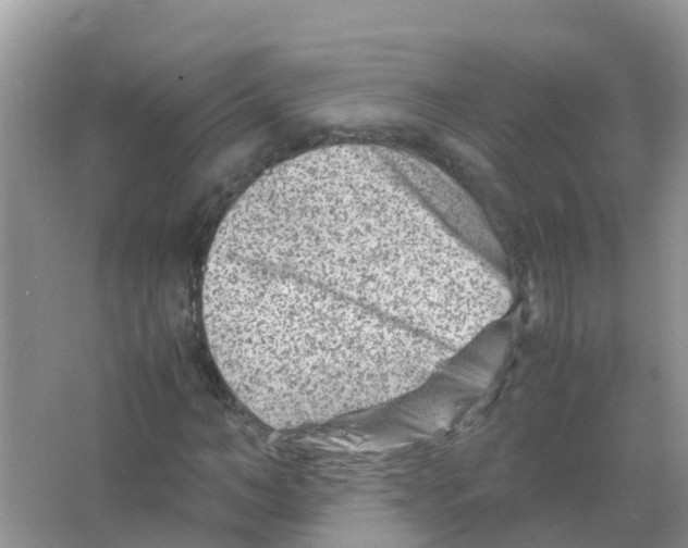 X0000066020966200603312045