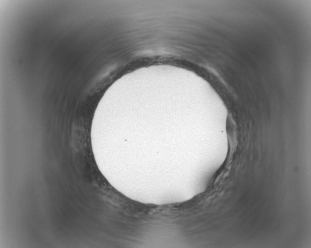 X0000066020967200603312045