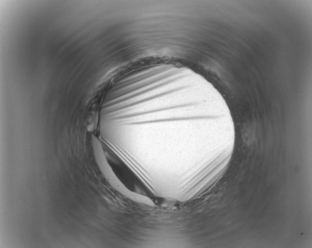 X0000066020968200603312045