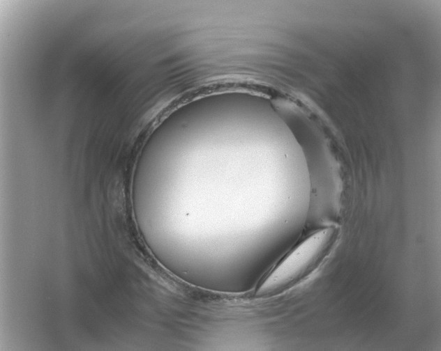 X0000066020969200603312045