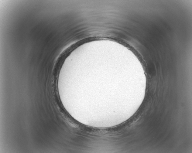 X0000066020971200603312045