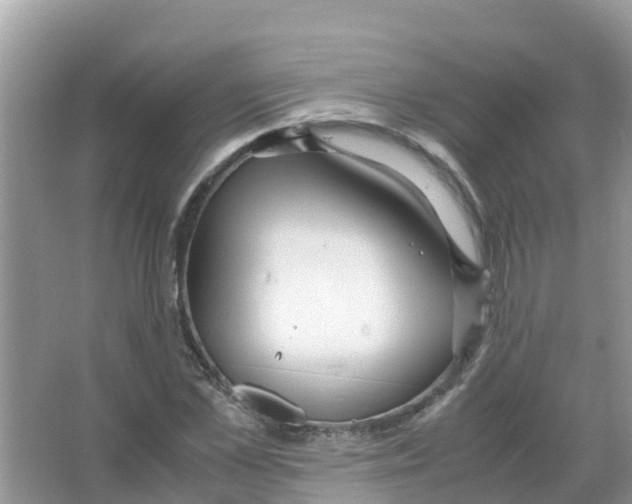 X0000066020973200603312044