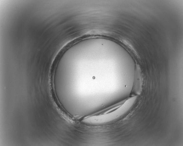 X0000066020976200603312044