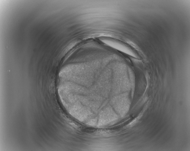 X0000066020977200603312044