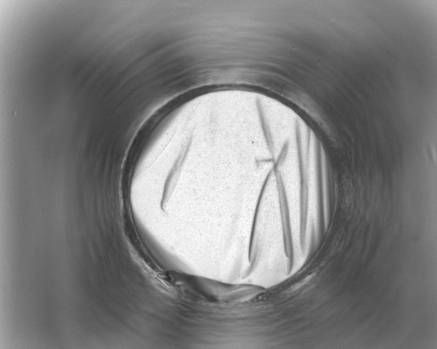 X0000066020980200603312044