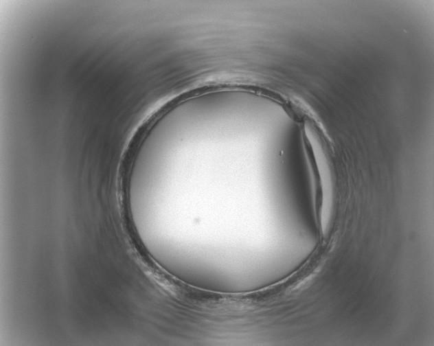 X0000066020981200603312044