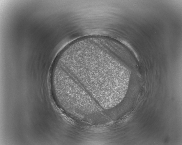 X0000066020983200603312044